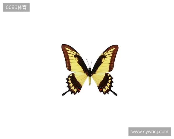 破茧成蝶：Legacy如何登顶南美、跻身世界顶尖行列